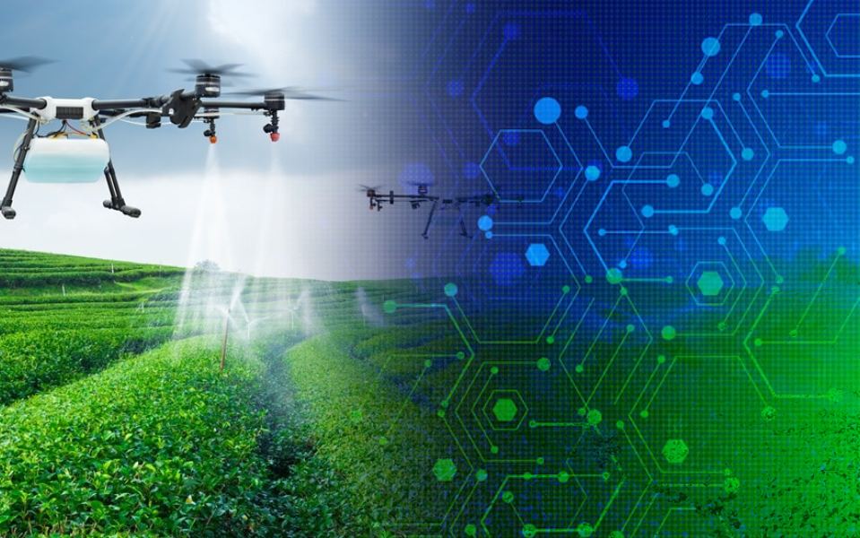 Rondônia se consolida como polo de Agrotechs; tecnologia no campo gera novas oportunidades