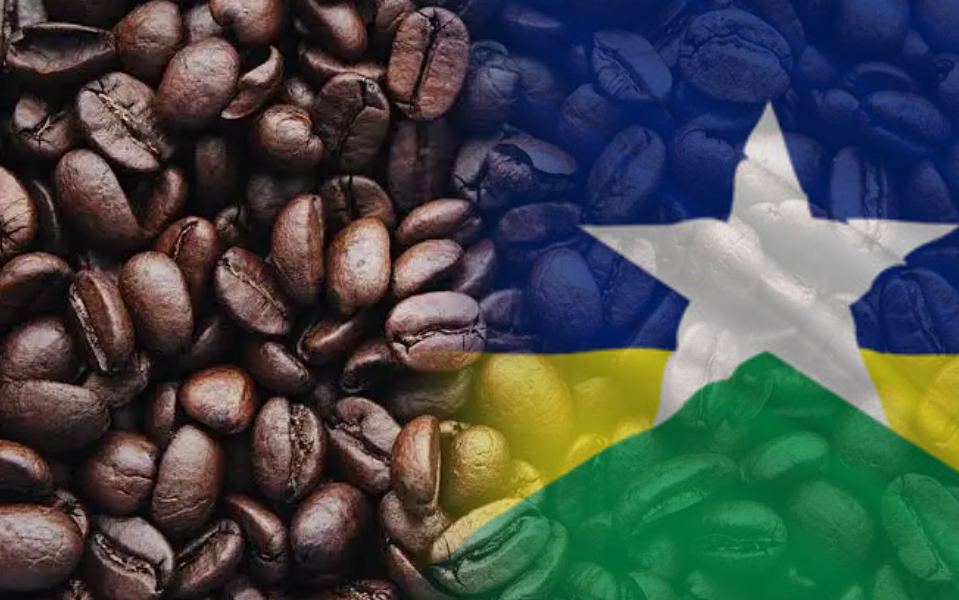 Safra Recorde: Rondônia prevê colheita de 2,7 milhões de sacas de café e alta de 18%